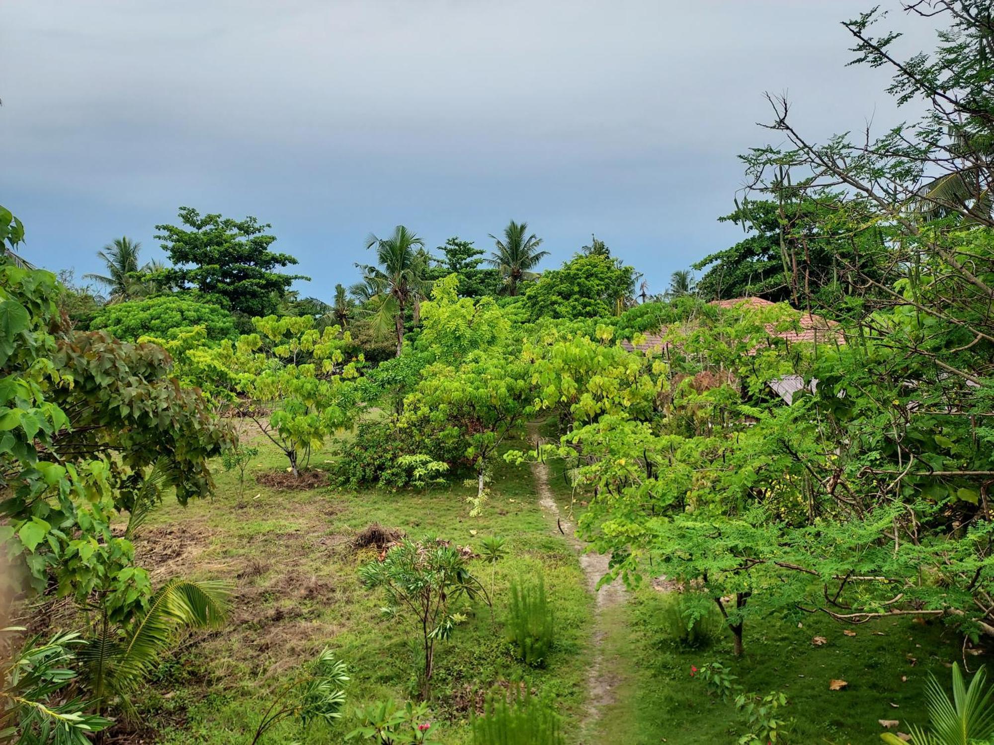 เซลทิส รีสอร์ท เกาะมาลาปัสกัว ภายนอก รูปภาพ