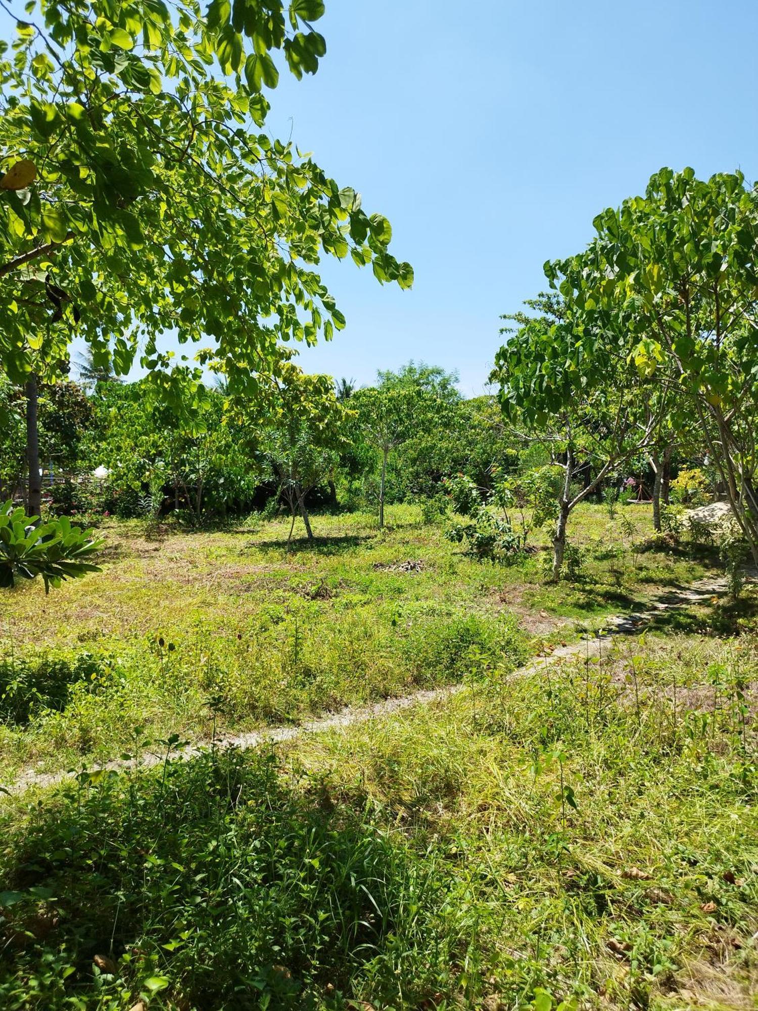 เซลทิส รีสอร์ท เกาะมาลาปัสกัว ภายนอก รูปภาพ